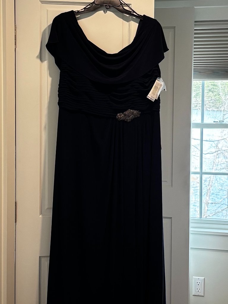 Alex Evenings Matte Jersey Cowl Neck Gown 18w